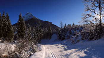 langlaufen in Steinberg mit Blick auf das mächtige Guffert Bergmassiv