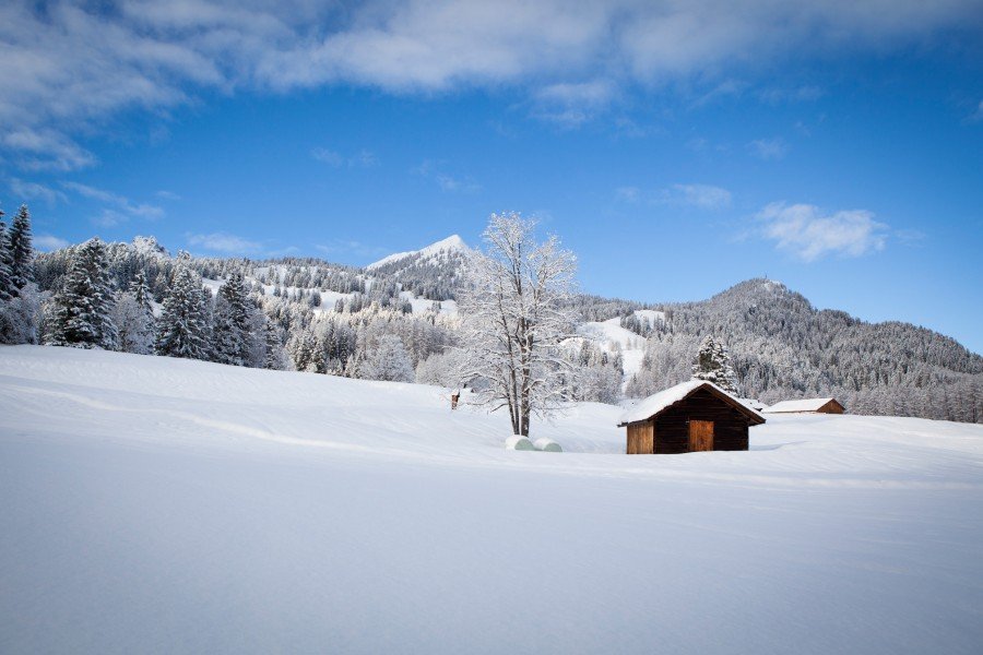 Die märchenhafte Winterwelt lässt sich am besten auf Langlaufskiern erkunden!