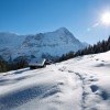 Winterwunderland im Berner Oberland