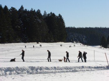 Winterwandern in Herrischried