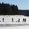 Winterwandern in Herrischried