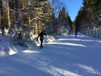 Im Langlaufzentrum Grainet-Obergrainet-Haidel ist klassisches Langlaufen, aber auch Skating möglich.