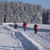 Skiwanderweg Oberer Alsbachberg-Rennsteigschleife