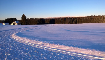 Beim Langlaufen kannst du die tolle Aussicht zu den Bayerwaldbergen genießen.