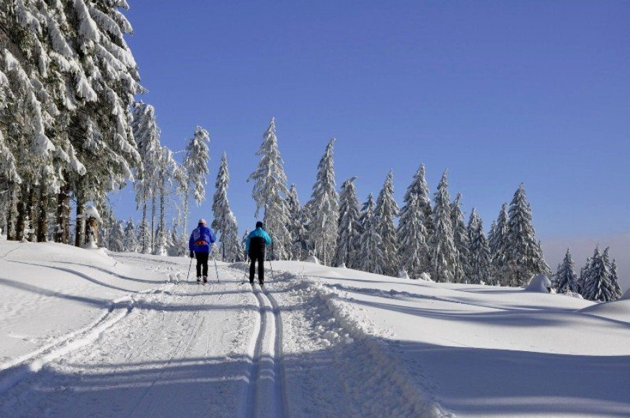 The cross-country skiing tracks in Oberhof comprise up to 50km in length.