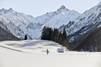 Strecken mit Blick auf verschneite Alpen