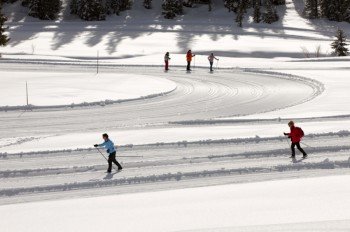 Cross-country ski centre Alochet - San Pellegrino Pass - Moena - Val di Fassa - Dolomites - Italia