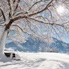 Die idyllische Winterlandschaft des Chiemgaus.