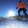 Enjoy the sun while skiing the trails.