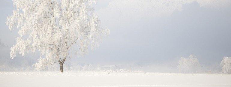 Traumhafte Winterlandschaften können Langläufer in Saalfelden Leogang erkunden.