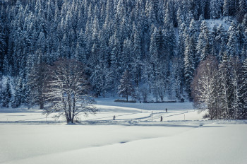 Das Loipennetz schließt an den Fernskiwanderweg Schluchsee-Hinterzarten an.