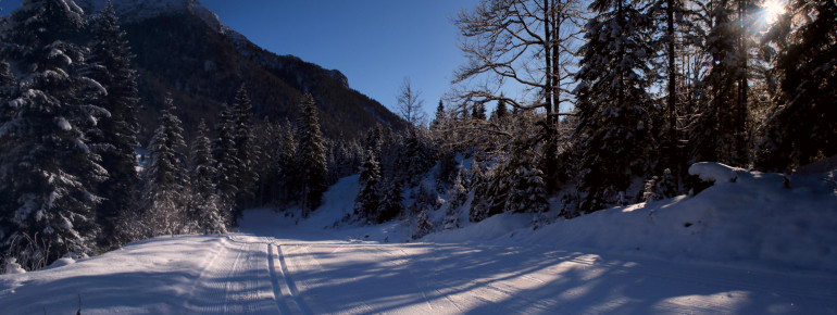 Langlaufen in Steinberg - mit Blick auf den 2.195 Meter hohen Guffert, der Hausberg der Steinberger