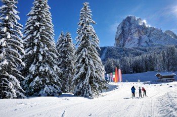 Rund um Wolkenstein, St. Christina und St. Ulrich laden traumhafte Loipen zum genussvollen Langlaufen ein.