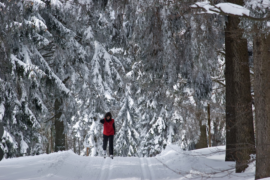 Langlaufen in Waldkirchens verschneiten Wäldern