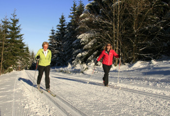 Am Bremberg bei Winterberg hast du fünf Loipen zur Auswahl.