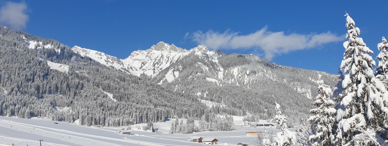 Ausblick FEWO zur "Bergwelt Hahnenkamm" Skigebiet