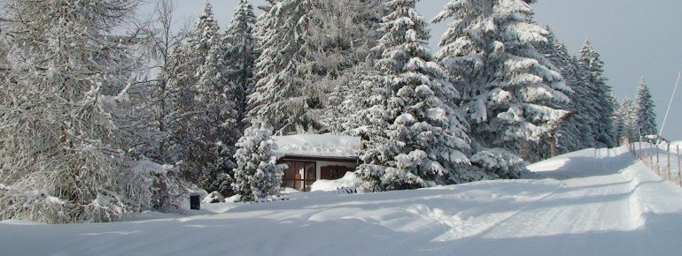 Rodelbahn bei der Hütte