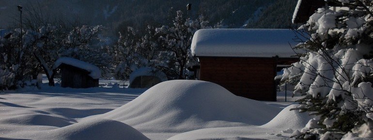 Schnee im Garten