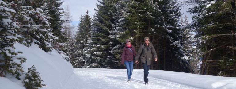 Winterwanderweg am Churer Hausberg Brambrüesch