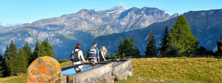 Wanderer am Churer Hausberg Brambrüesch