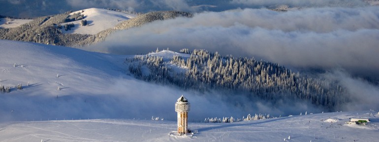 Der Feldberg ist mit 1493 Metern der höchste Berg des Schwarzwaldes