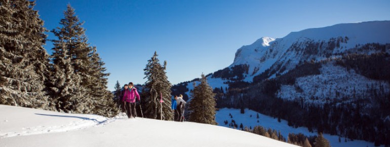 Fribourg ist bei Schneeschuhwanderern sehr beliebt