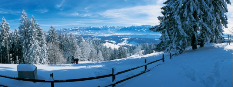 Ausblick vom Bachtel ins Zürcher Oberland